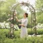 Preview: DanDiBo Metal Rose Arch, Stable, 160 cm Wide, Climbing Arch 96025, Garden Arch, Gateway Arch, Round Arch, Plant Arch, Solid, Weather-Resistant Garden Trellis