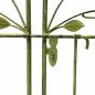 Preview: DanDiBo Metal Rose Arch with Gate, Sturdy, 130 cm Wide, Climbing Plant Arch 93997, Garden Arch, Gate Arch, Round Arch, Heavy-Duty, Weather-Resistant