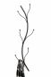 Preview: DanDiBo wall coat rack metal black 93861 Flora coat rack wall coat hooks hallway coat rack coat hooks hook rail