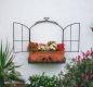 Preview: DanDiBo Wandblumenhalter Fenster Schwarz Metall Wand Blumenständer Blumenregal Wandregal Regal