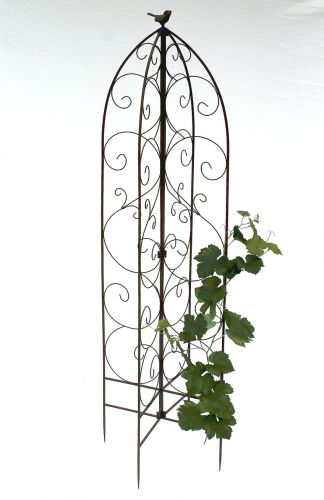 Growth support 120005 foldable Plant support metal H-160cm D-50cm Stake Fence
