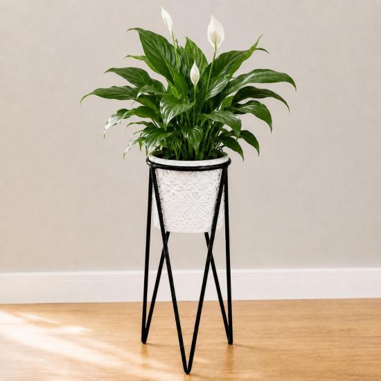 DanDiBo Blumenständer mit Topf Metall  Schwarz Weiß Rund 96043 S 50 cm Pflanzenständer Blumenhocker Beistelltisch Blumensäule Modern Pflanzenhocker