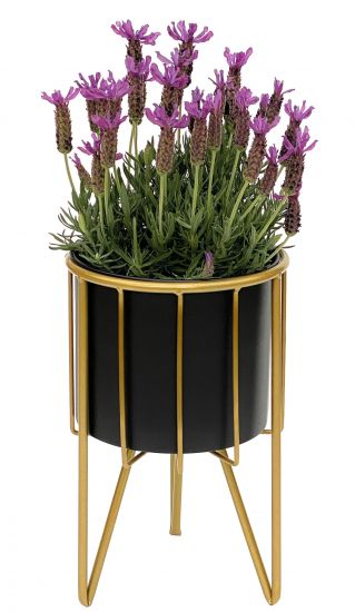 DanDiBo Blumenhocker mit Topf Metall Gold Schwarz Rund S 32 cm Blumenständer 96039 Blumensäule Modern Pflanzenständer Pflanzenhocker