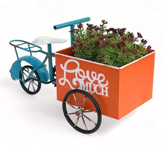 DanDiBo Flower Bike for Garden Metal Standing Bike Blue Orange 96530 Plant Bike Decorative Bike Flower Stand