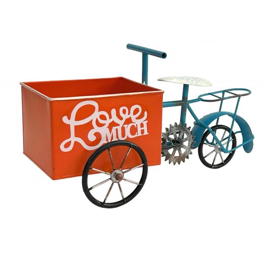 DanDiBo Flower Bike for Garden Metal Standing Bike Blue Orange 96530 Plant Bike Decorative Bike Flower Stand