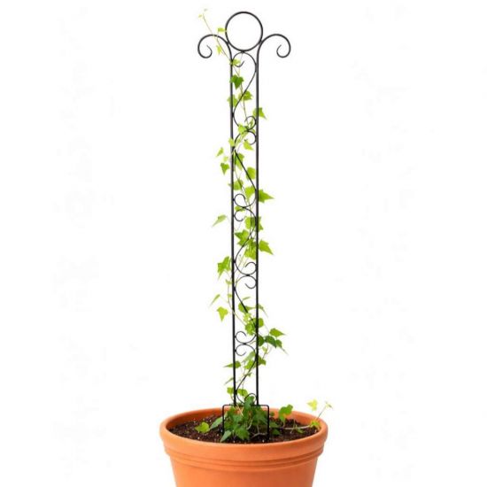 DanDiBo Plant Support Trellis Metal 135 cm Ground Spike Classic Garden Stake Climbing Support Plant Holder Trellis Column Garden Flower Stake
