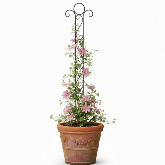 Preview: DanDiBo Plant Support Trellis Metal 135 cm Ground Spike Classic Garden Stake Climbing Support Plant Holder Trellis Column Garden Flower Stake