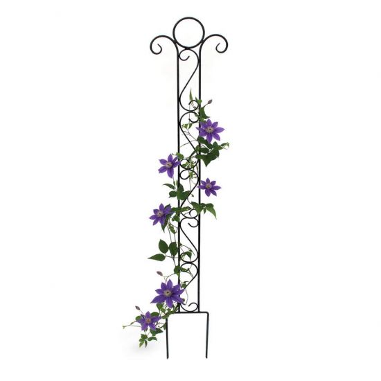 DanDiBo Plant Support Trellis Metal 135 cm Ground Spike Classic Garden Stake Climbing Support Plant Holder Trellis Column Garden Flower Stake