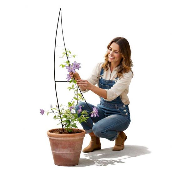 Plant Support Climbing Support Metal Black 150 cm Ground Spike Sail Garden Stake Trellis Climbing Plants Flower Holder Garden Flower Plants