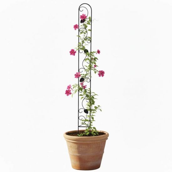 DanDiBo Plant Support Climbing Trellis Metal Black Slim 150 cm Ground Spike 96249 Garden Stake Trellis Climbing Plants Flower Holder Garden Column Plants