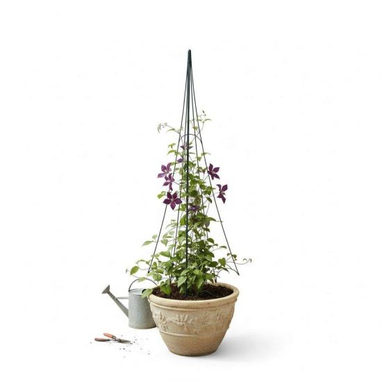 Preview: DanDiBo Plant Support Trellis Metal Black H-150 cm Garden Umbrella Design Climbing Plant Support Rose Trellis Ground Spike Plant Holder Climbing Column