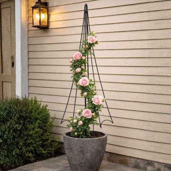 DanDiBo Rankhilfe Rankgitter Metall Schwarz H-150cm Regenschirm Garten Kletterpflanzen Rosen Bodenstecker Kletterhilfe Blumenhalter Ranksäule