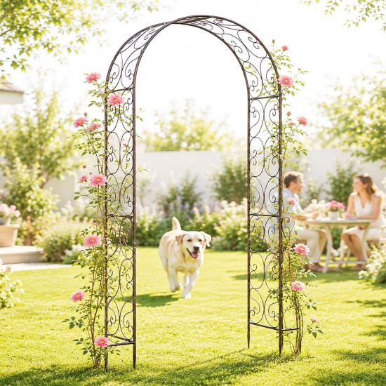 DanDiBo Metal Rose Arch, Stable, 160 cm Wide, Climbing Arch 96025, Garden Arch, Gateway Arch, Round Arch, Plant Arch, Solid, Weather-Resistant Garden Trellis