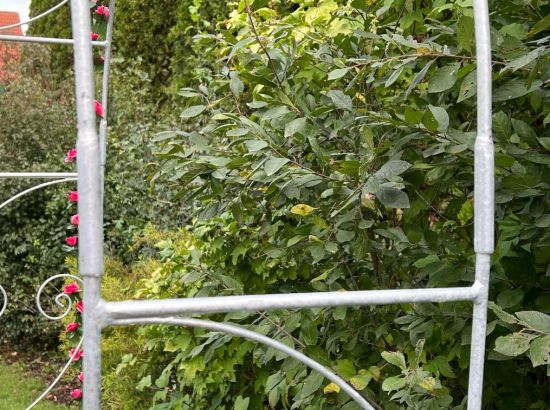 Preview: DanDiBo Rose Arch Metal Stable Galvanized 120 cm Wide Climbing Arch 96518 Garden Arch Gateway Round Arch Plant Arch Solid Hot-Dip Galvanized Garden Weatherproof Wrought Iron