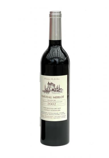 DanDiBo Weinöffner Set 5 Tlg. im Weinflaschen Design Wein Zubehör Set Geschenk mit Kellnermesser Korkenzieher Ausgießer Tropfring Korken mit Dichtung Geschenkset Silber
