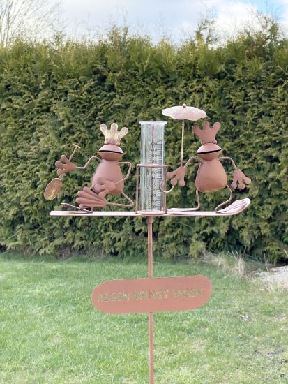 DanDiBo metal plug rain gauge weather frog 140 cm frog garden plug rain gauge
