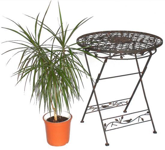Tisch Bistrotisch Antik Rund Gartentisch Metall 1850 Avis Eisentisch Balkontisch Vintage