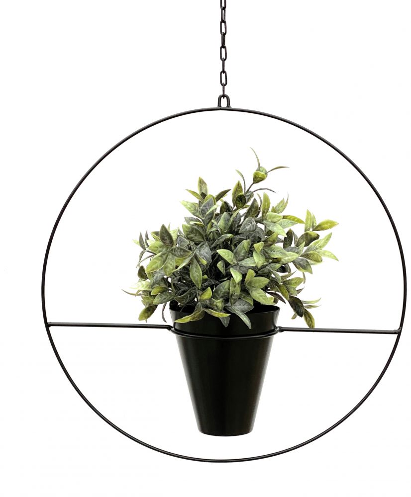 ikea ufopflanze 6er Box Grne Erstausstattung  Green Me Up