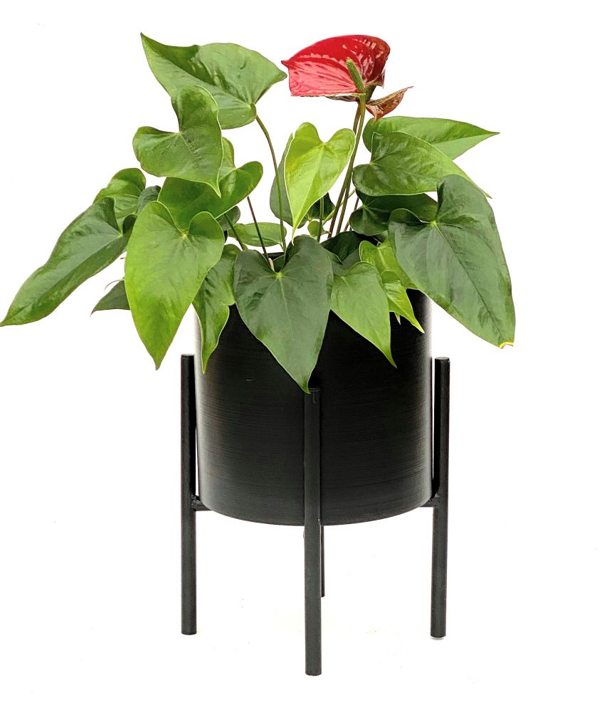 DanDiBo Flower Stool with Pot Metal Black 32 cm Flower Stand 96153 Flower Column Modern Plant Stand Plant Stool