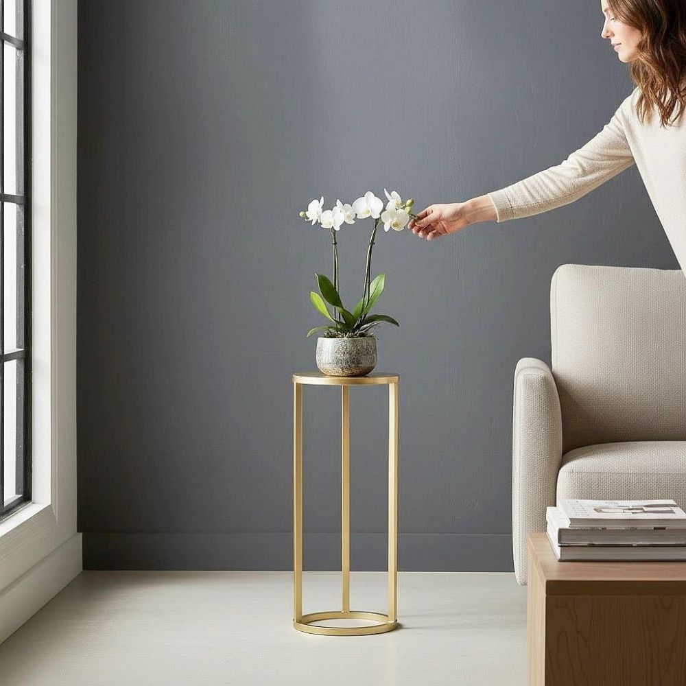 DanDiBo Metal Plant Stand Gold Round 96510 S 50 cm Set Plant Holder Flower Stool Side Table Flower Column Modern Plant Stand