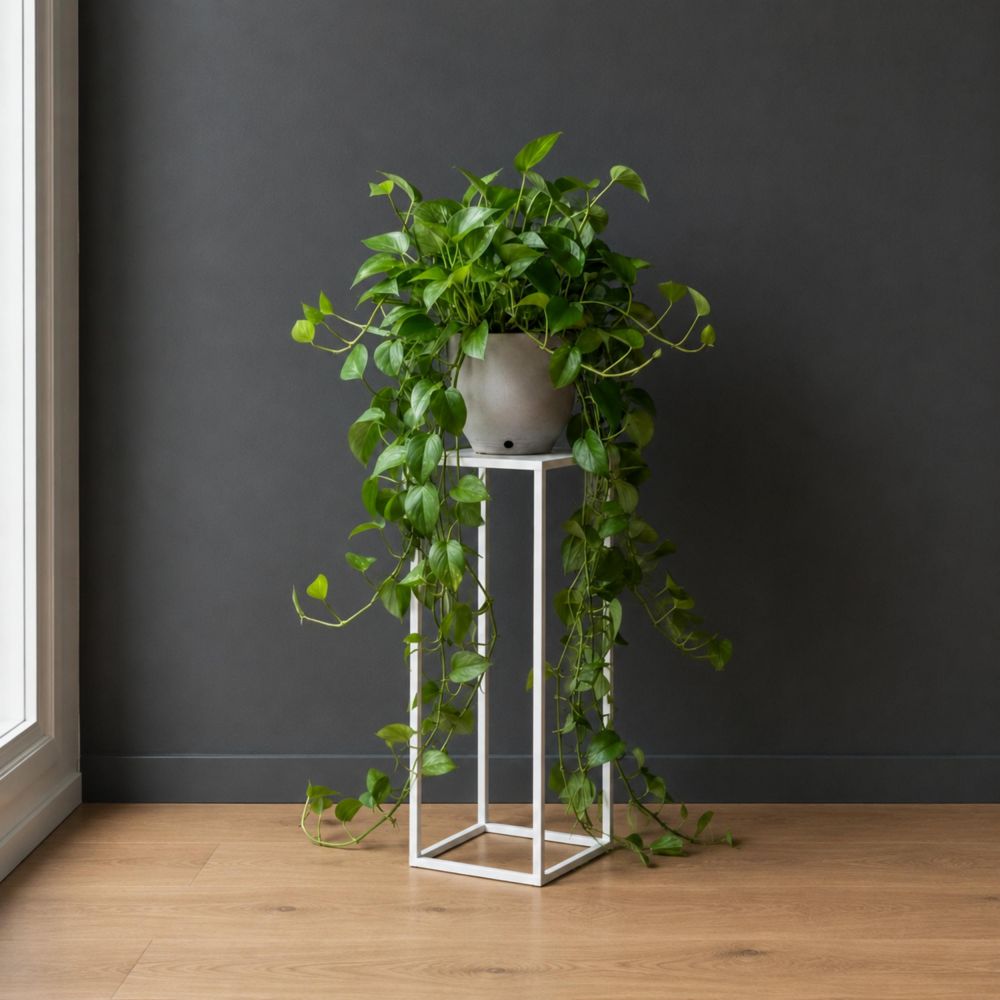 DanDiBo Metal Plant Stand White Square 96482 S Plant Holder 50 cm Flower Stool Side Table Flower Pedestal Modern Plant Stool