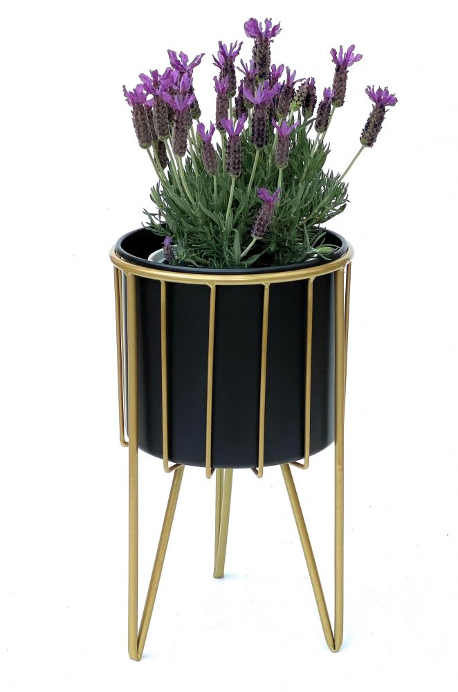 DanDiBo Blumenhocker mit Topf Metall Gold Schwarz Rund M 40 cm Blumenständer 96039 Blumensäule Modern Pflanzenständer Pflanzenhocker