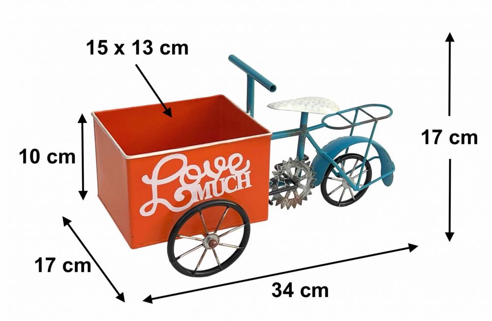 DanDiBo Flower Bike for Garden Metal Standing Bike Blue Orange 96530 Plant Bike Decorative Bike Flower Stand