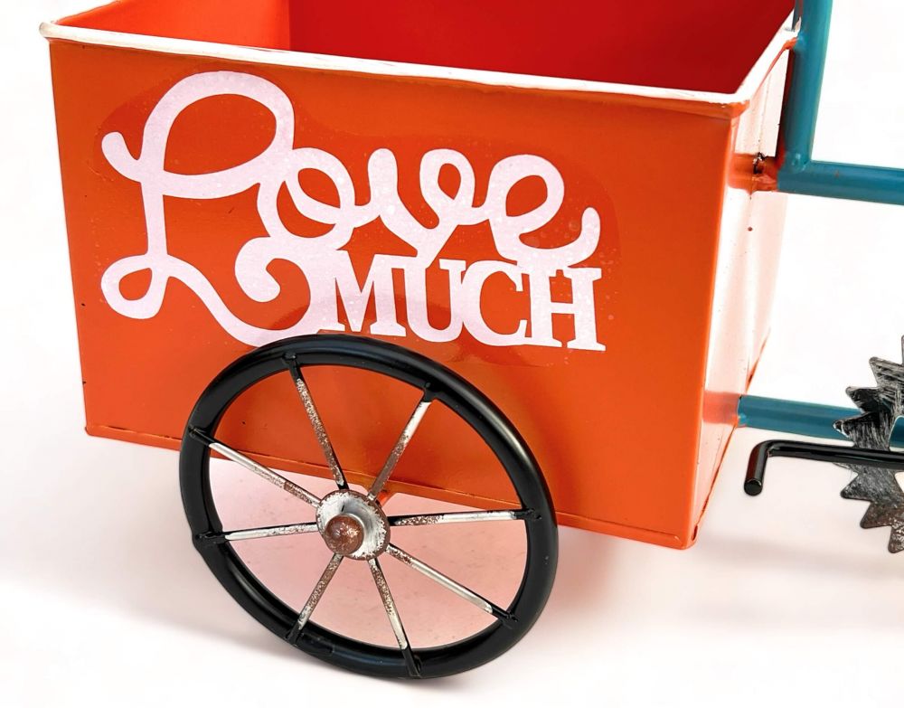 DanDiBo Flower Bike for Garden Metal Standing Bike Blue Orange 96530 Plant Bike Decorative Bike Flower Stand