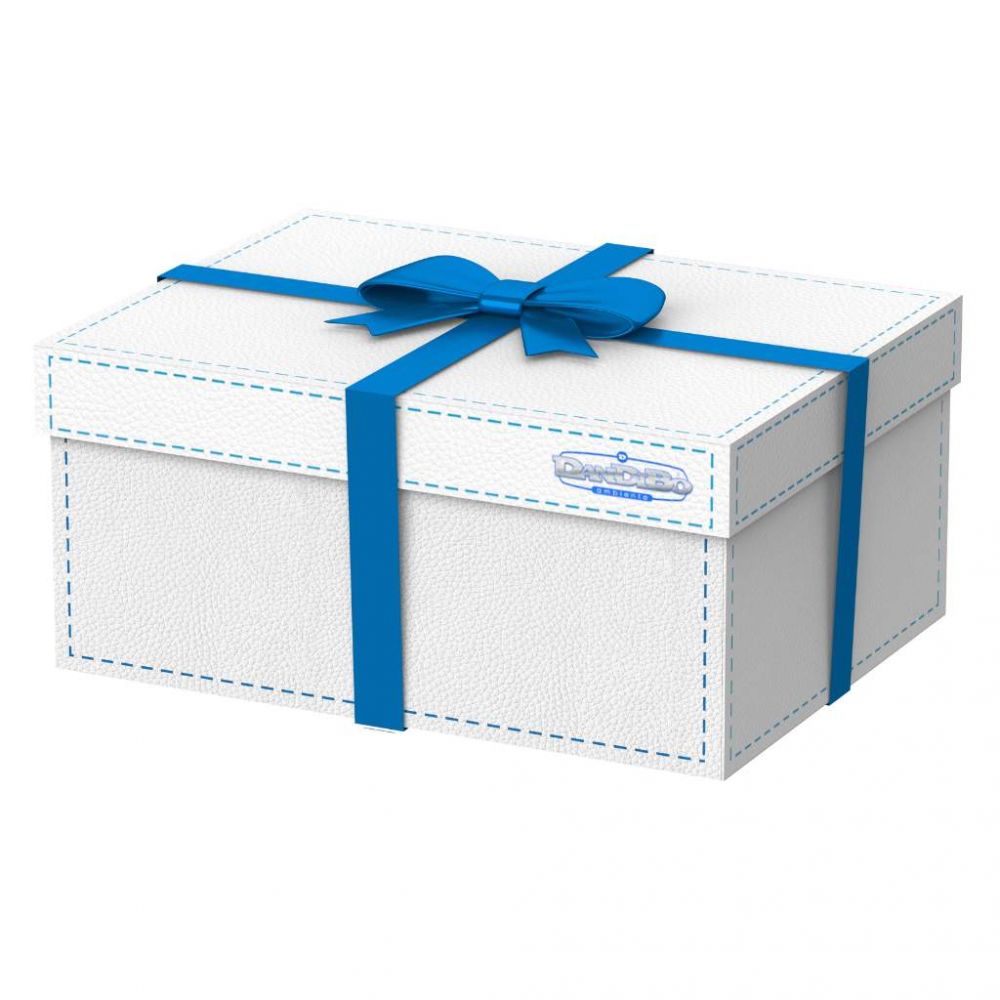 DanDiBox Surprise Box Gift Box with Lid Animal Sounds Funny Gift Idea Christmas Gift