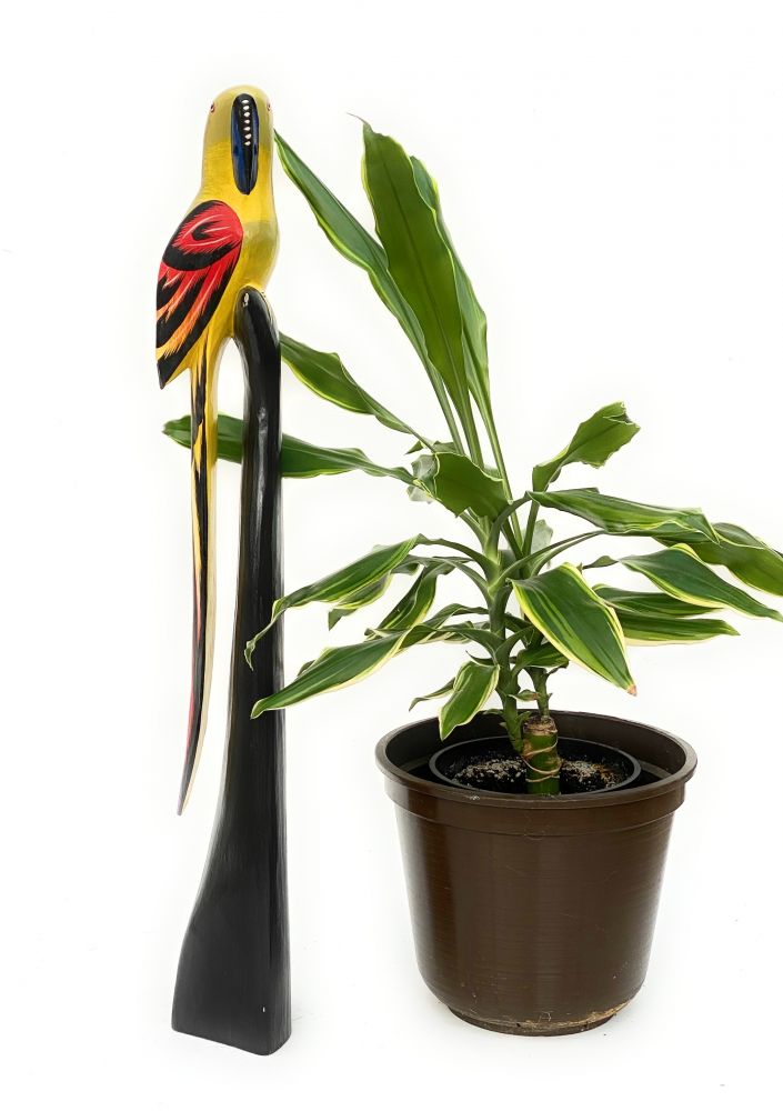 DanDiBo Deko Figur Papagei Nr.8 Vogel aus Holz Skulptur Gelb Schwarz 80 cm Holzvogel Handgeschnitzt Stehend Tierfigur Schnitzskulptur
