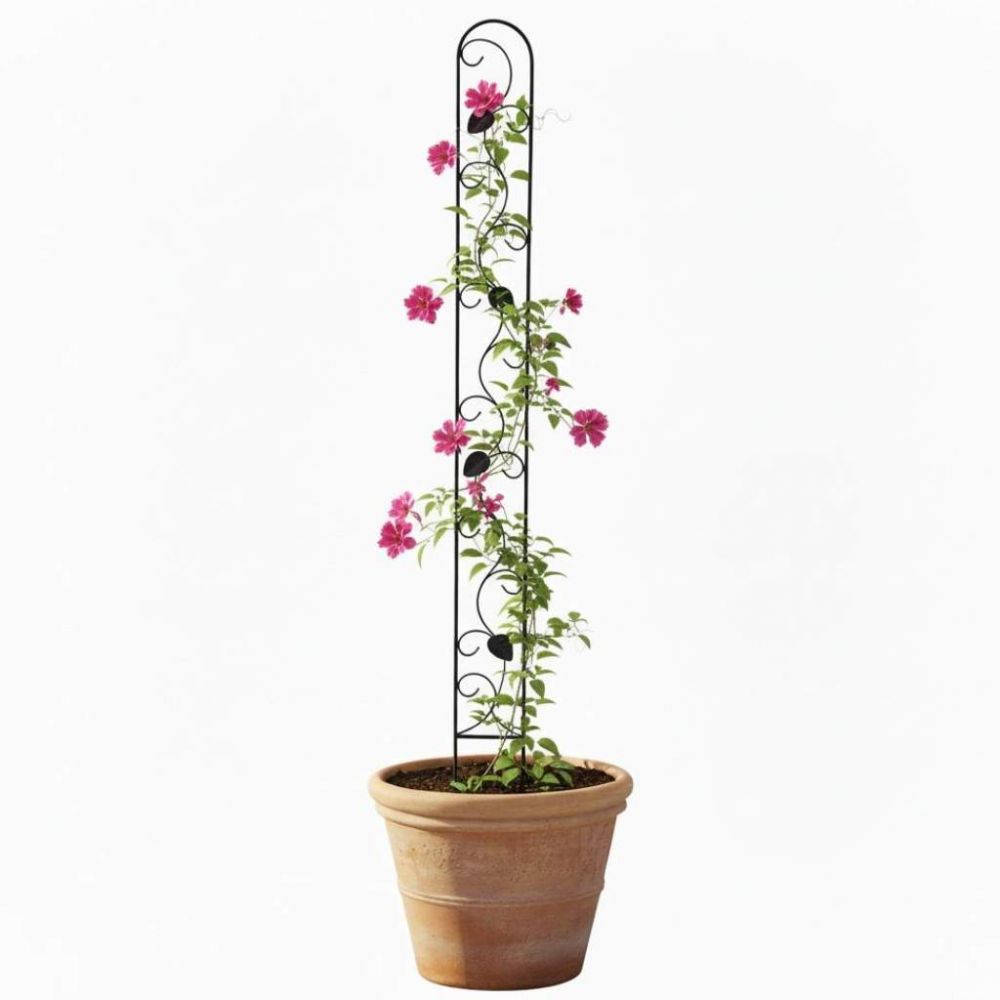 DanDiBo Plant Support Climbing Trellis Metal Black Slim 150 cm Ground Spike 96249 Garden Stake Trellis Climbing Plants Flower Holder Garden Column Plants