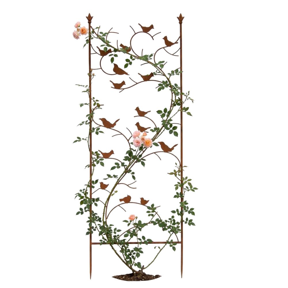DanDiBo Metal Garden Trellis 150 cm Birds 120705 Climbing Plant Support Plant Trellis Ground Stake Flower Holder Climbing Column
