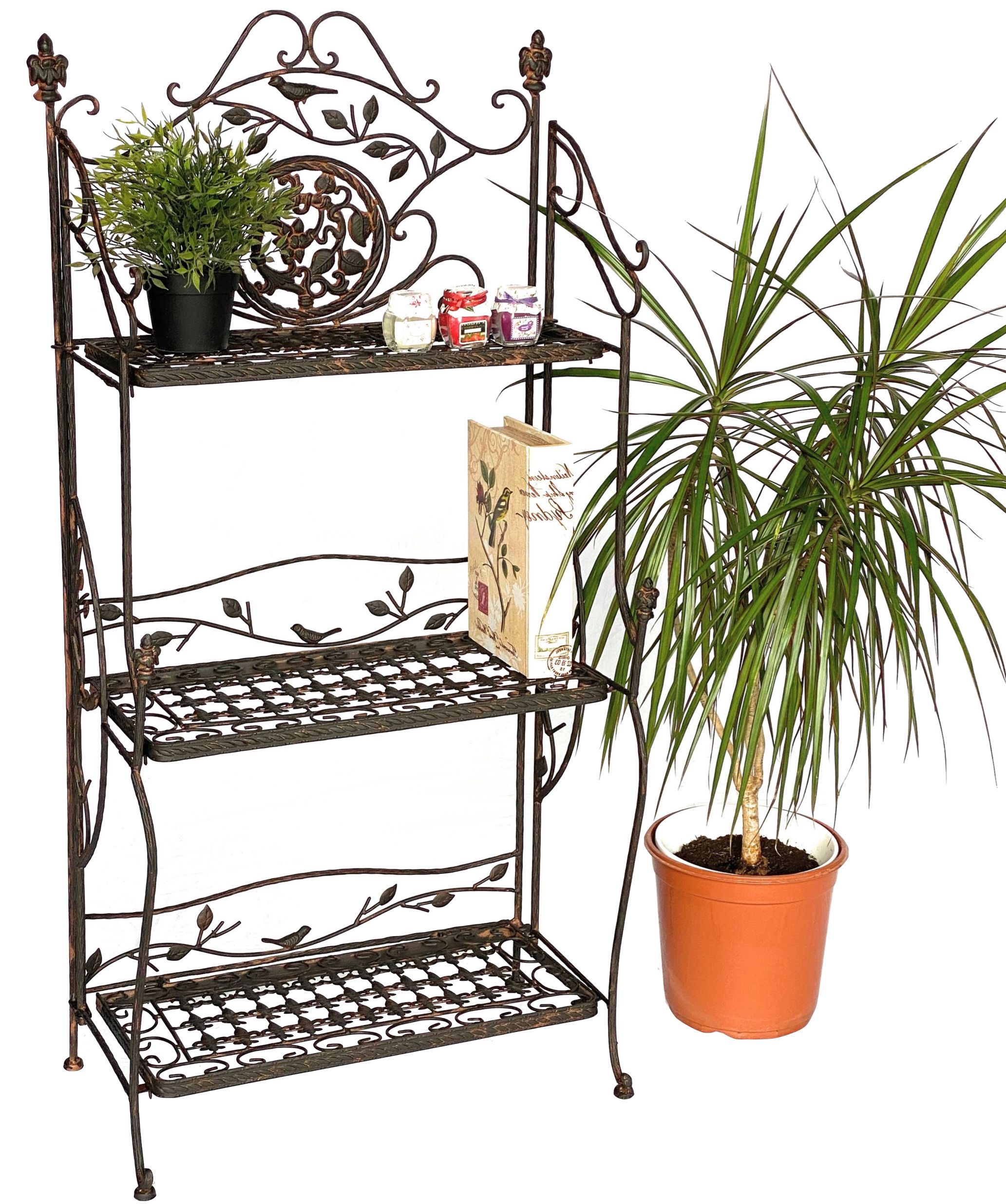 Regal Avis aus Metall 1844 Schmiedeeisen Braun 123 cm Bücherregal